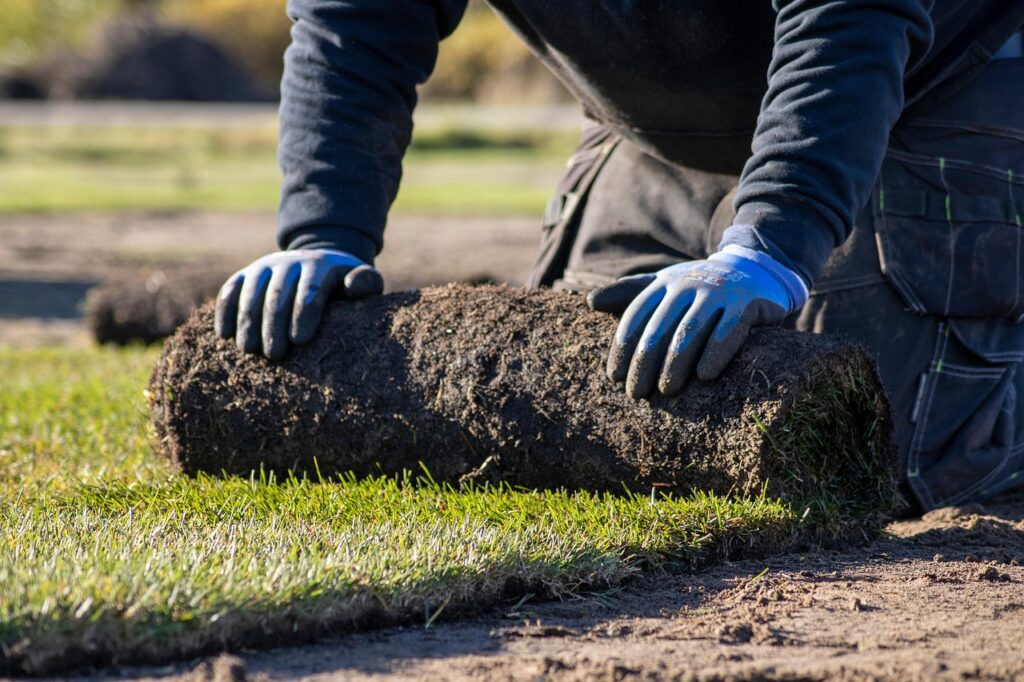 lawn-8083423_1280
